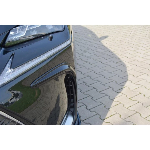 Frames for lights Lexus NX Mk1