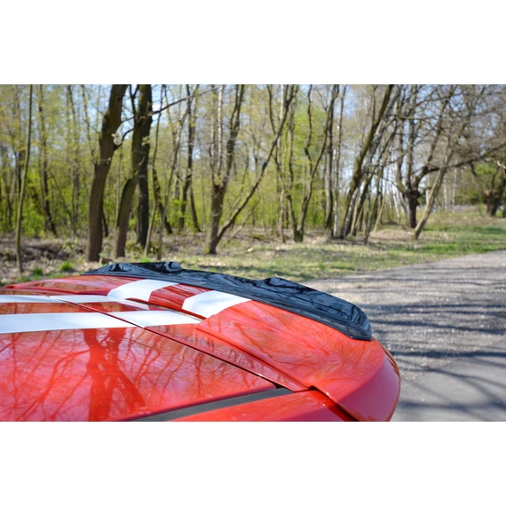 Spoiler Cap V.1 Ford Fiesta ST Mk6