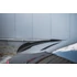 Spoiler Cap Mercedes-Benz CLS AMG-Line / 53AMG C257