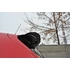 SPOILER CAP SEAT LEON MK2 MS DESIGN