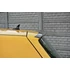 SPOILER CAP VW GOLF IV