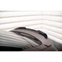 Spoiler Cap Audi e-Tron GT / RS GT RS Mk1