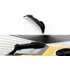 Spoiler Cap 3D Volkswagen Arteon Shooting Brake R-Line Mk1 Facelift