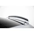 Spoiler Cap Audi TT 8J