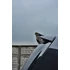 SPOILER EXTENSION OPEL ZAFIRA B OPC