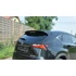 Spoiler Cap Lexus NX Preface/Facelift