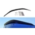 SPOILER CAP Lexus RC F