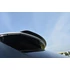 SPOILER CAP Lexus RX Mk4