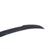 Spoiler Cap Audi TT RS 8S